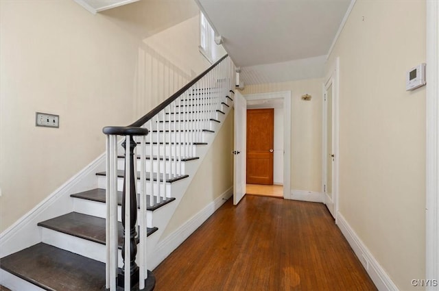 staircase with wood-type flooring