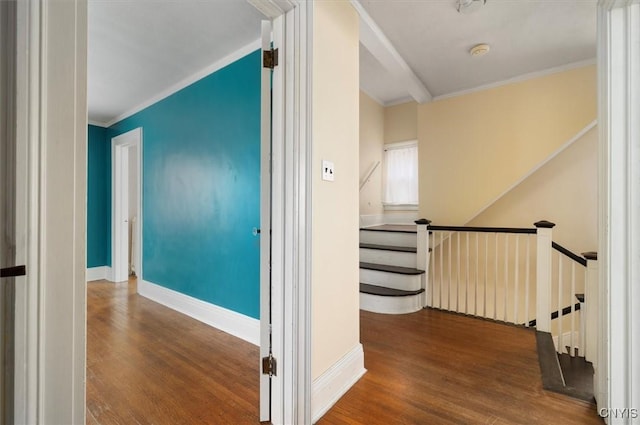 hall featuring ornamental molding and wood-type flooring