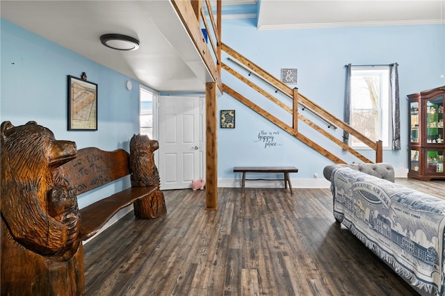 bedroom featuring ornamental molding and dark hardwood / wood-style floors