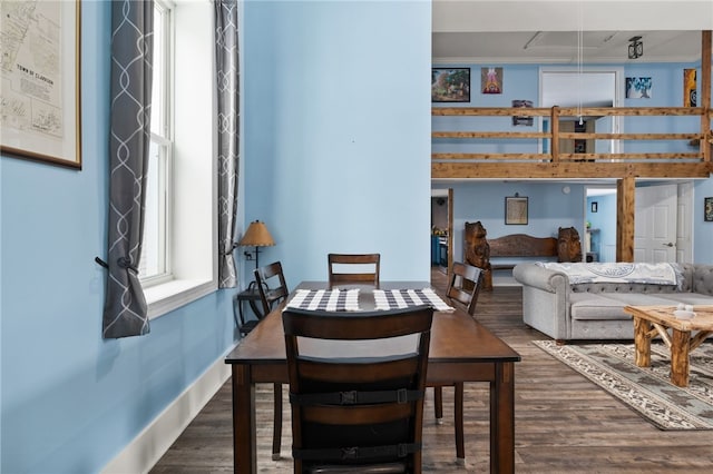 dining room featuring dark wood-type flooring