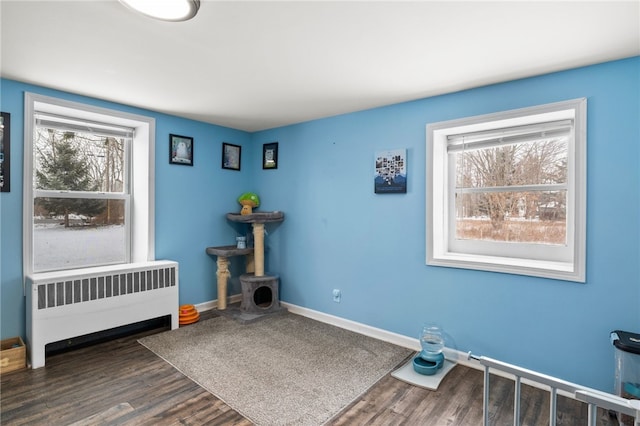 interior space featuring radiator and dark hardwood / wood-style flooring