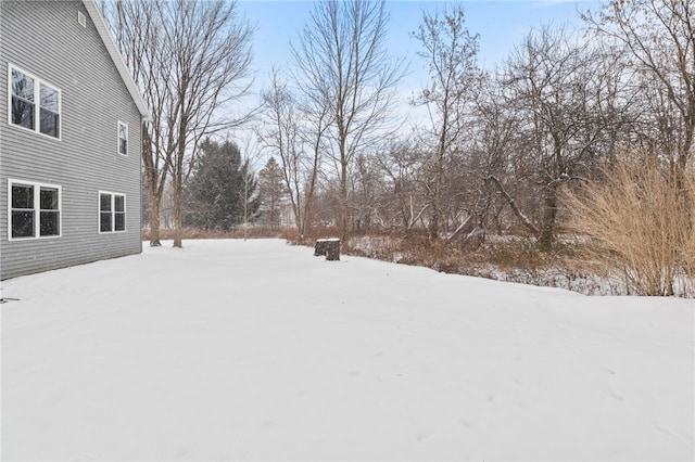 view of yard layered in snow