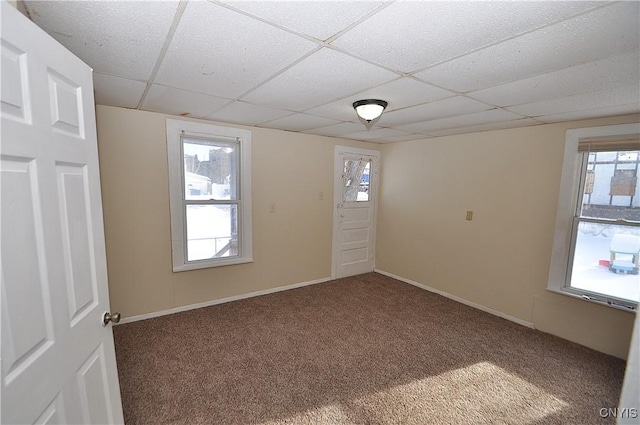 spare room with carpet flooring and a drop ceiling