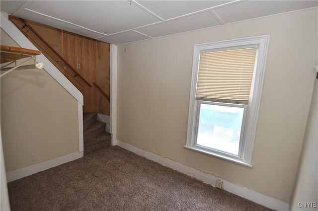 basement with carpet flooring