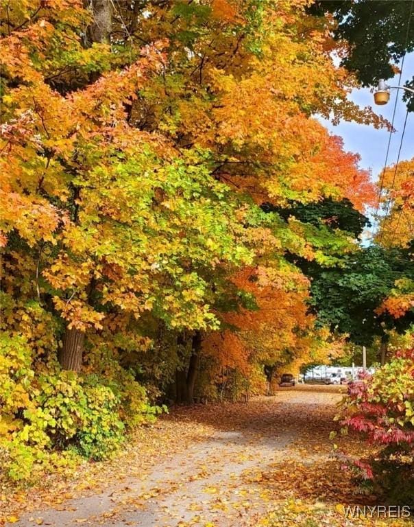 view of road