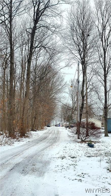 view of yard covered in snow