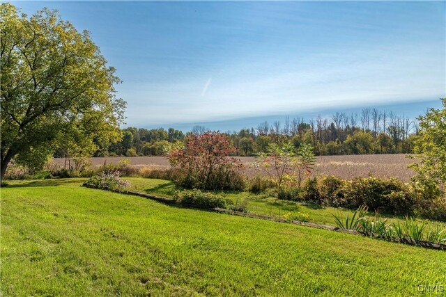 Hoag Rd, Rome-Outside, NY 13440 - photo 4