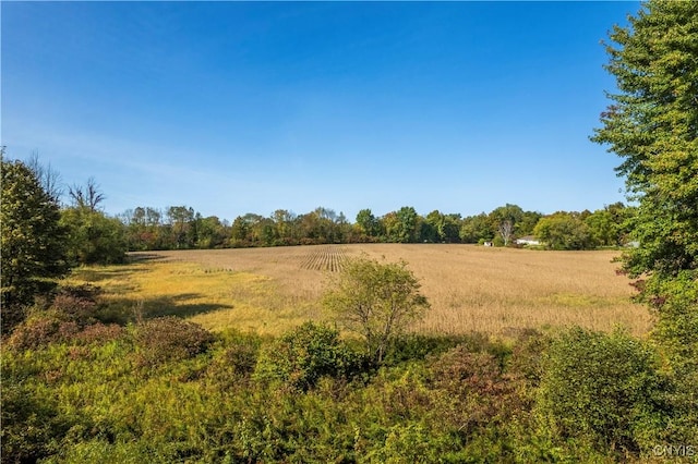 Hoag Rd, Rome-Outside, NY 13440 - photo 9