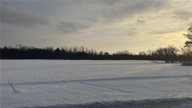 Hoag Rd, Rome-Outside, NY 13440 - photo 14