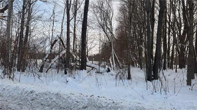 Hoag Rd, Rome-Outside, NY 13440 - photo 16