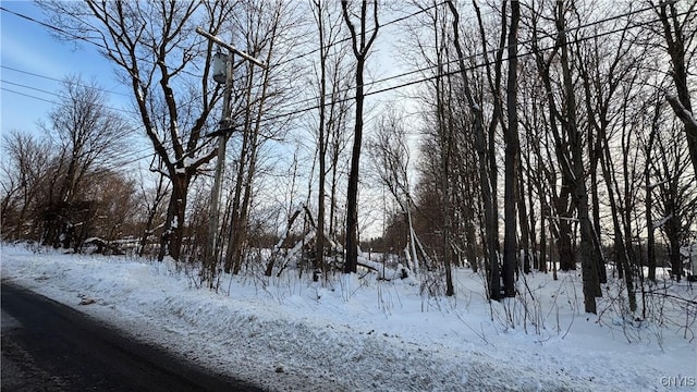 Hoag Rd, Rome-Outside, NY 13440 - photo 17