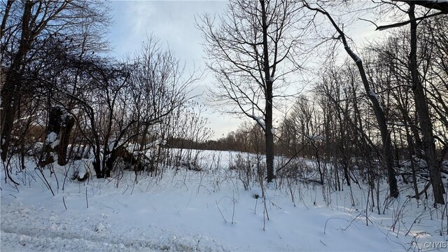 Hoag Rd, Rome-Outside, NY 13440 - photo 18