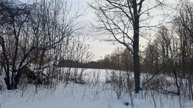 Hoag Rd, Rome-Outside, NY 13440 - photo 19