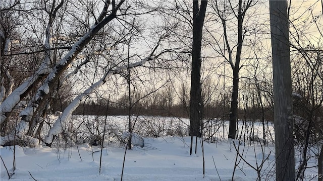 Hoag Rd, Rome-Outside, NY 13440 - photo 21