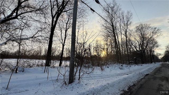 Hoag Rd, Rome-Outside, NY 13440 - photo 23