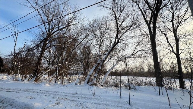 Hoag Rd, Rome-Outside, NY 13440 - photo 24