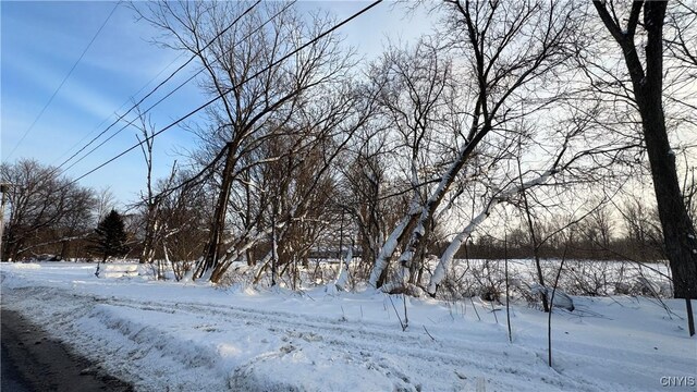 Hoag Rd, Rome-Outside, NY 13440 - photo 25