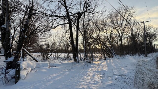 Hoag Rd, Rome-Outside, NY 13440 - photo 26