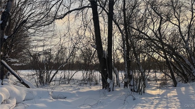 Hoag Rd, Rome-Outside, NY 13440 - photo 27