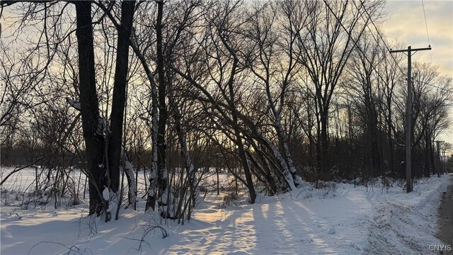 Hoag Rd, Rome-Outside, NY 13440 - photo 28