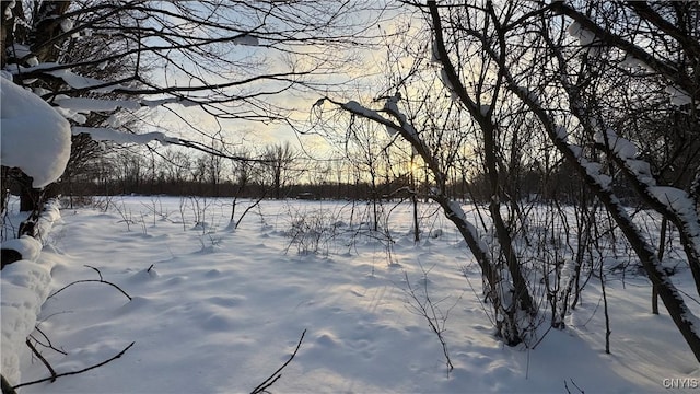 Hoag Rd, Rome-Outside, NY 13440 - photo 31