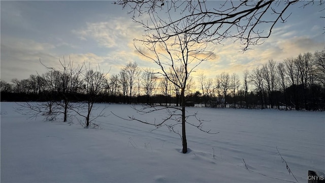 Hoag Rd, Rome-Outside, NY 13440 - photo 32