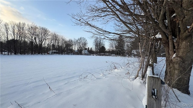 Hoag Rd, Rome-Outside, NY 13440 - photo 33