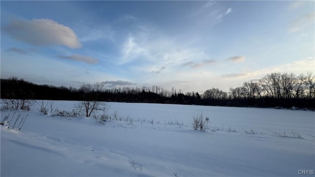 Hoag Rd, Rome-Outside, NY 13440 - photo 35