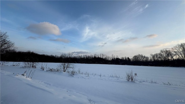 Hoag Rd, Rome-Outside, NY 13440 - photo 36