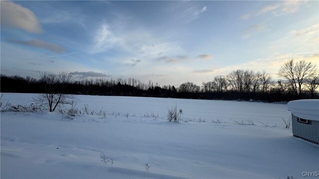 Hoag Rd, Rome-Outside, NY 13440 - photo 37