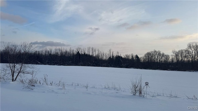 Hoag Rd, Rome-Outside, NY 13440 - photo 38