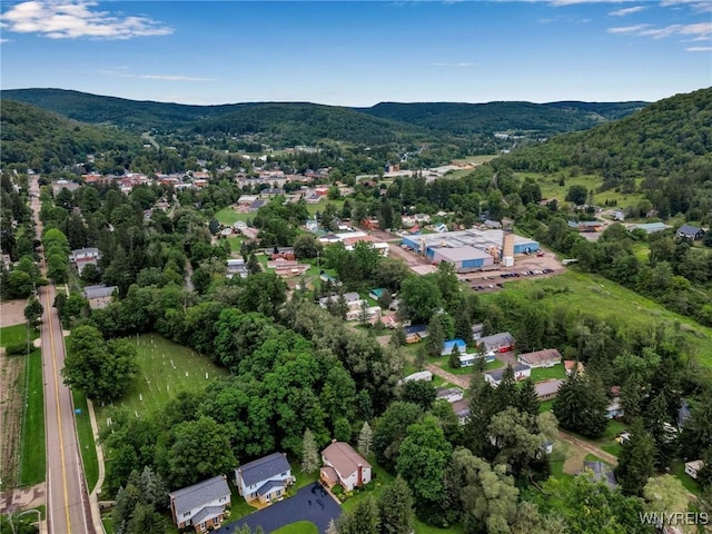 bird's eye view with a mountain view