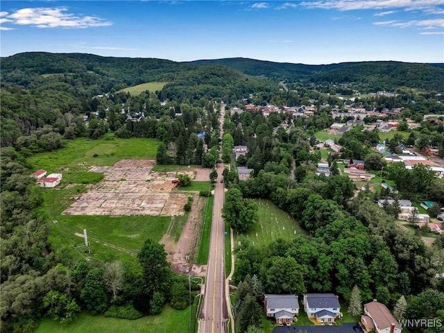 bird's eye view with a mountain view