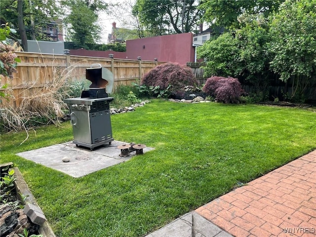 view of yard featuring a patio