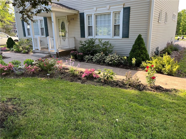 view of front facade featuring a front yard