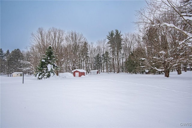 view of snowy yard