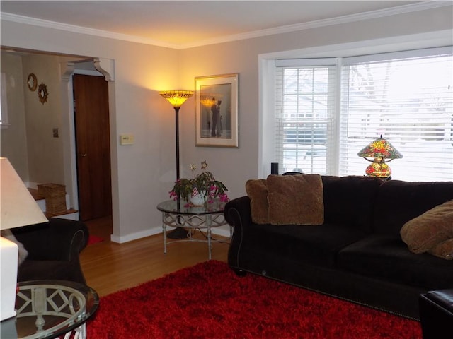 living room with hardwood / wood-style floors and ornamental molding