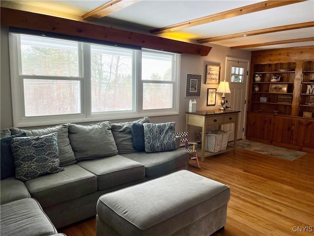 living room featuring built in features, beamed ceiling, and hardwood / wood-style flooring