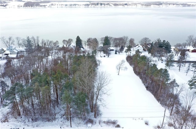 view of snowy aerial view