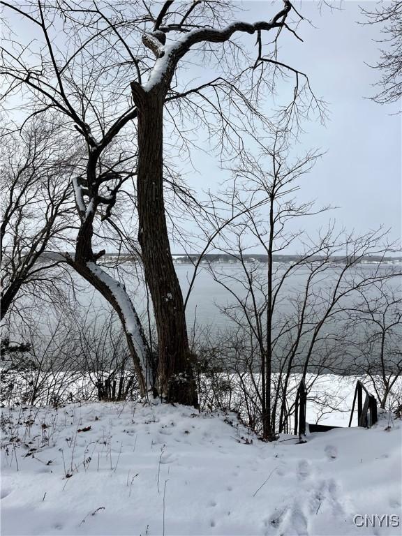 view of snow covered land