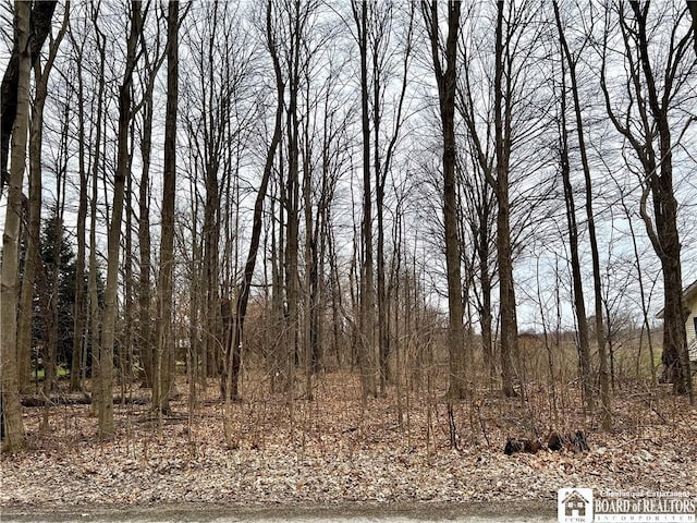 00 Chestnut Rd, Pomfret NY, 14048 land for sale