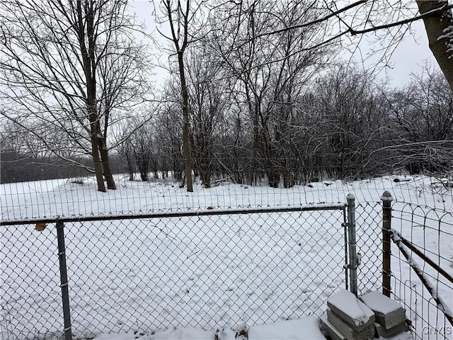 view of yard layered in snow