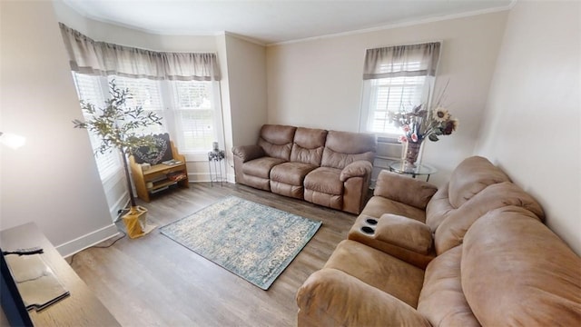 living room featuring ornamental molding and hardwood / wood-style floors