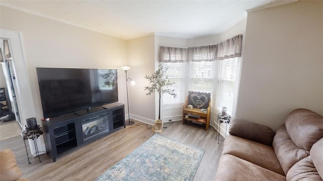 living room featuring crown molding and hardwood / wood-style flooring