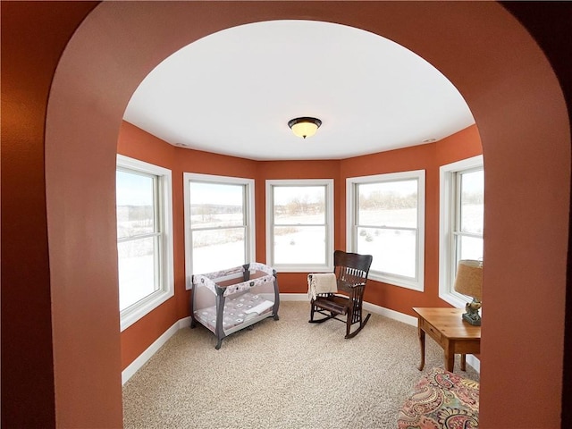 sitting room with carpet flooring