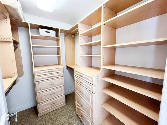 walk in closet featuring dark colored carpet