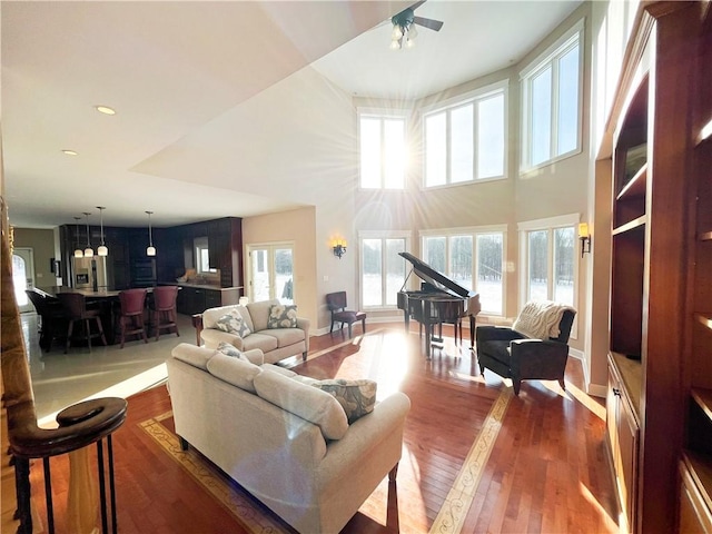 living room featuring a towering ceiling and dark hardwood / wood-style flooring