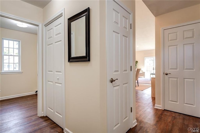 hallway with dark wood-type flooring