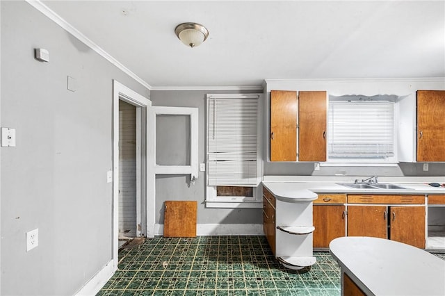 bathroom featuring sink and ornamental molding