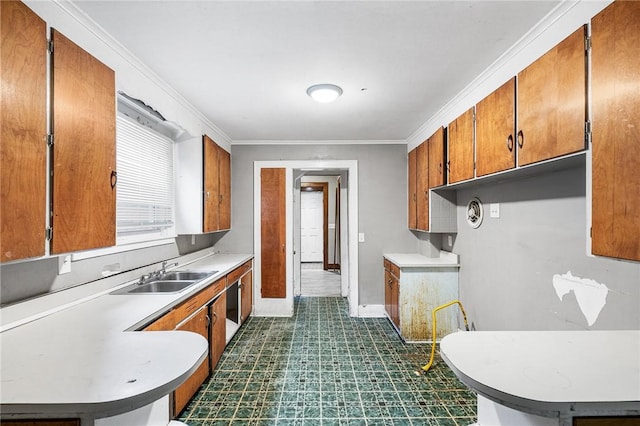 kitchen with sink and crown molding